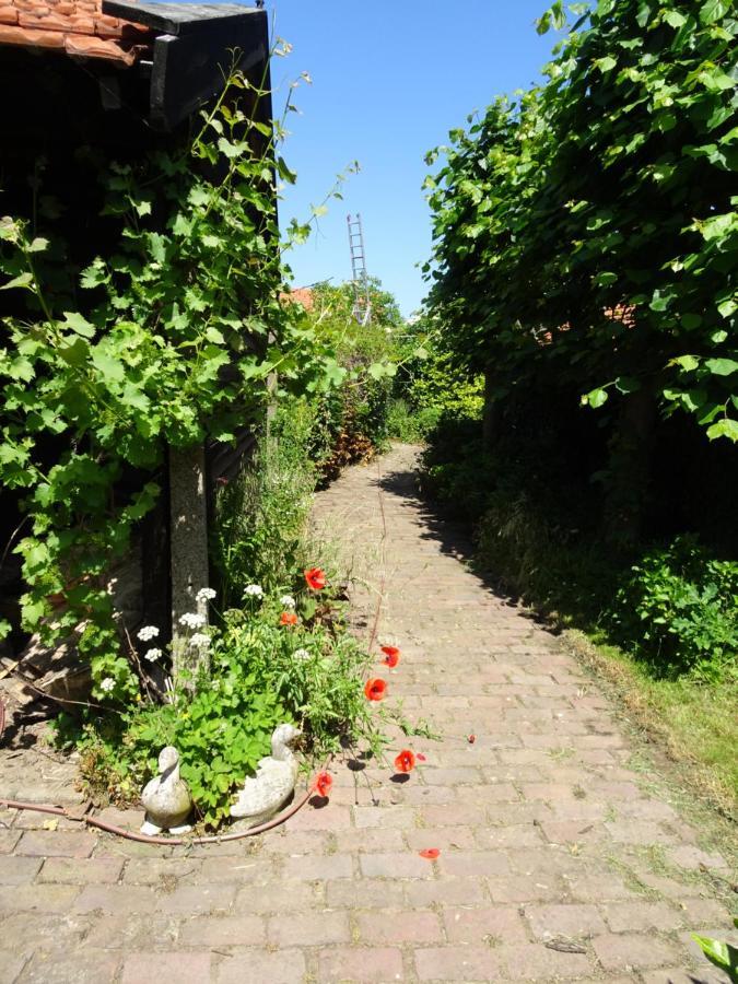 B&B Helena'S Hoeve Buggenum Extérieur photo